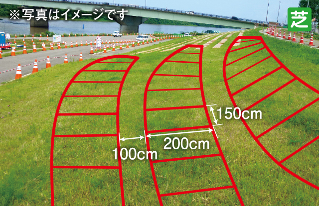 コメントありがとうございます長岡花火2023マス席